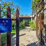 Ljudevit By Interhome *
